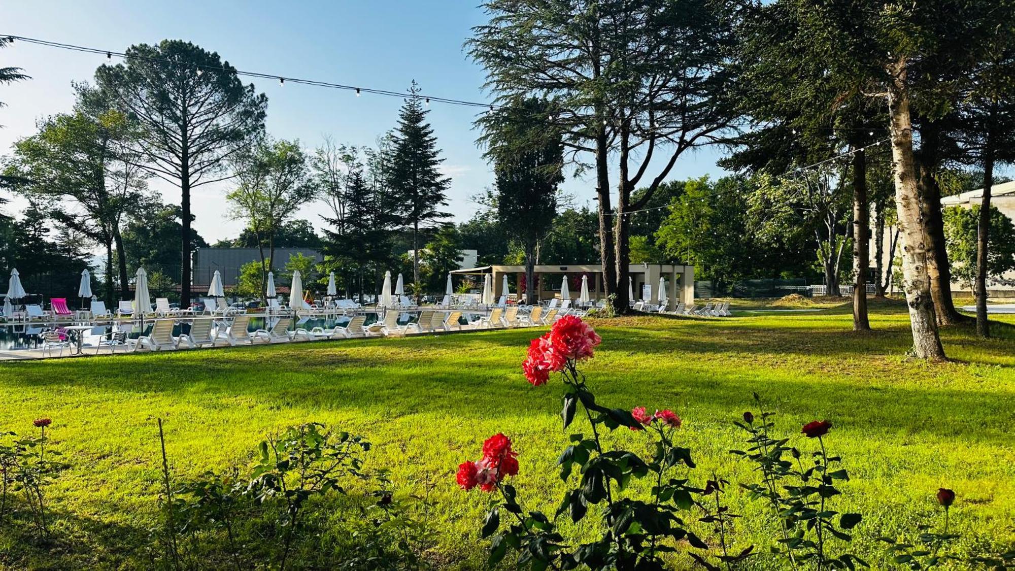 Queen Nelly Park Kiten  Extérieur photo